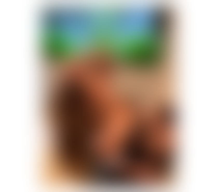 Escorts Gwynedd Caernarfon - Gwynedd - Photos for Oliviana✅ Sweet girl 100% Just arrived in you're Town ✅